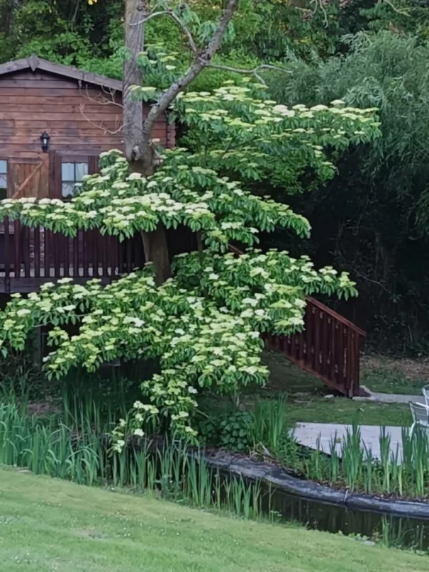 sojapi-chambres-d'hôtes-insolites-Normandie (1)