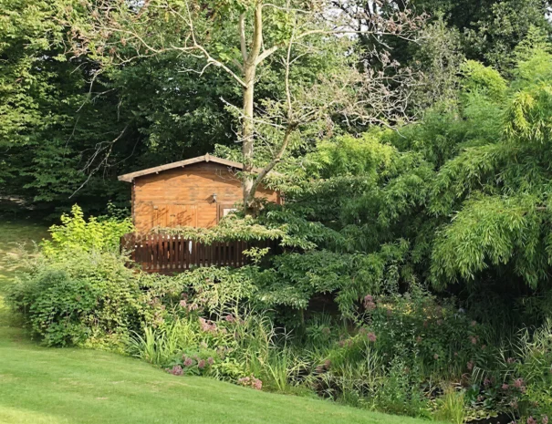 Cabane Robin des Bois